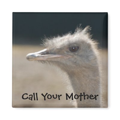 Call Your Mother - magnet by Horseshoes3