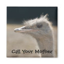 Call Your Mother - magnet