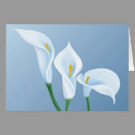 Calla flowers cards