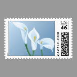 Calla flowers stamps