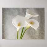 calla lilies apron poster smaller