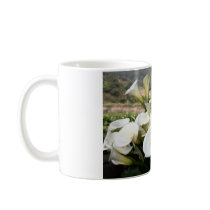 Calla Lilies growing at  Lily Plantation, Taiwan mugs