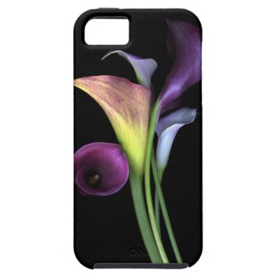 Calla Lilies iPhone 5 Vibe Case iPhone 5 Cover