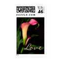 Calla Lilies Love Postage stamp