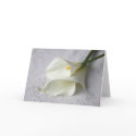 calla lilies on linen greeting cards