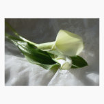 Calla Lilies on White Lace Wedding invitations