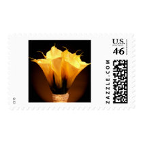 Calla Lilies postage by aslentz Calla Lilies postage