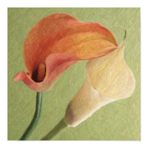 Calla Lilies print
