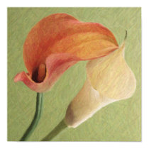 Calla Lilies posters by whupsadaisy Calla Lilies posters