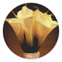 Calla lilies.... stickers by aslentz Calla lilies.... stickers