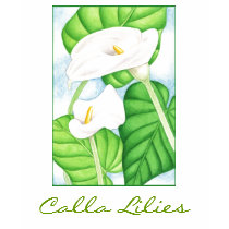 Calla Lilies t-shirts