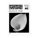 calla lillie postage