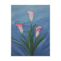 "Calla Lillies" Postcard