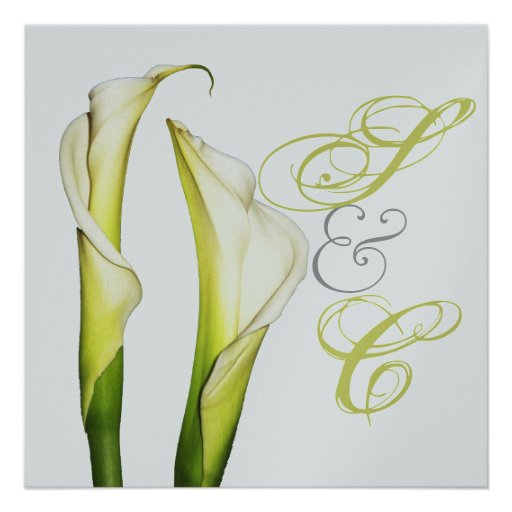 Calla lillies + swirls text, wedding Invitations