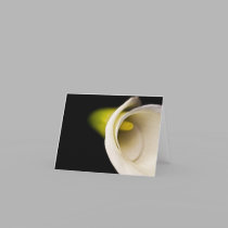 Calla Lilly cards by ChristianTravers Calla Lilly cards