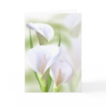 Calla Lilly Card