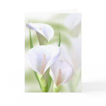 Calla Lilly Card