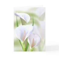 Calla Lilly Card card