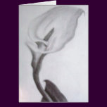 Calla Lilly
