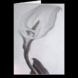 Calla Lilly cards