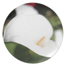 Calla Lilly Romance Plate