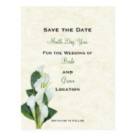 Calla Lilly Save The Date Card Post Card