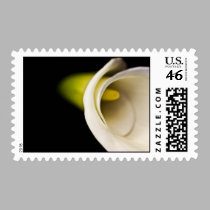 Calla Lilly Series postage