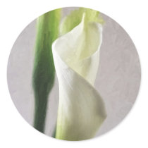Calla Lily 1 Sticker