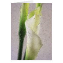 Calla Lily 1 Watercolor Greeting Cards