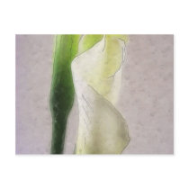 Calla Lily 1 Watercolor Postcard