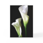 Calla Lily 2 Card