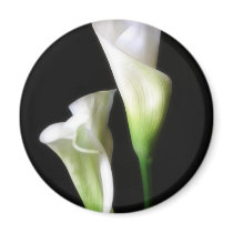 Calla Lily 2 Refrigerator Magnets