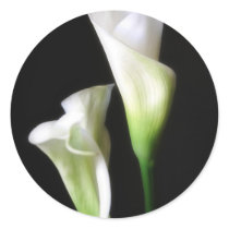 Calla Lily 2 Sticker