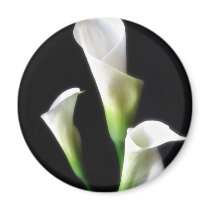 Calla Lily 3 Fridge Magnets