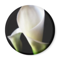 Calla Lily 4 Fridge Magnet