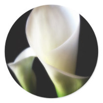Calla Lily 4 Round Stickers