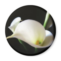 Calla Lily 7 Refrigerator Magnet