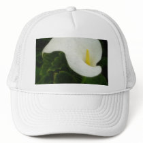 Calla Lily 8 Watercolor Hats