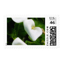 Calla Lily 9 Watercolor Stamp