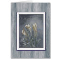 calla lily antique series 3 cards