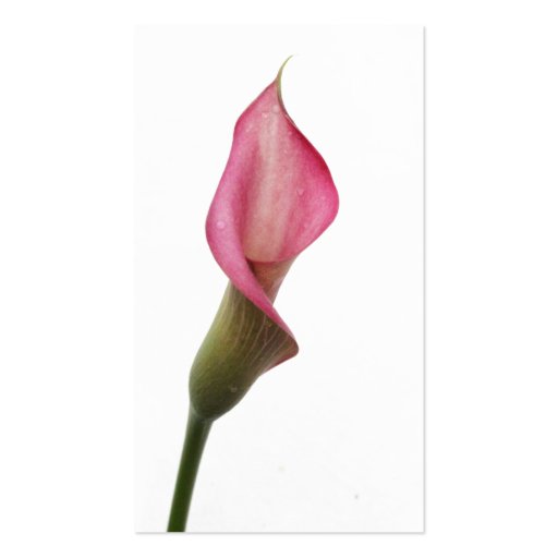 Calla Lily Business Card Template (back side)