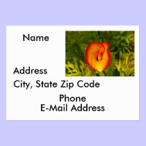 Calla Lily business cards