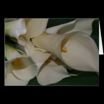 Calla Lily cards by sunfun38 Calla Lily cards