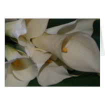 Calla Lily cards