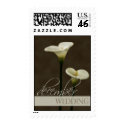 Calla Lily - December Wedding Postage postage by EverAfter Calla Lily - December Wedding Postage postage