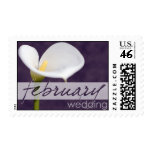 Calla Lily February Postage Stamps