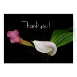 Calla Lily Flower Thankyou Card