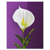 Calla lily personalized flyer