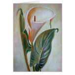 Calla Lily Greeting Card