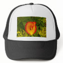 Calla Lily hats by greatphotos Calla Lily hats